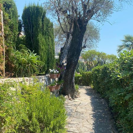 "Jardin Du Pian" Calme, Proche Gare, Mer Mentona Zewnętrze zdjęcie